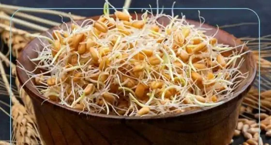 قرص جوانه گندم برای چاقی صورت