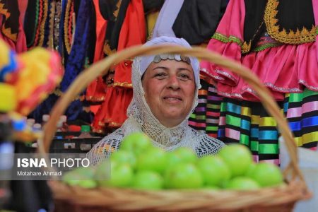 خبر نو - جشنواره آلوچه در گوراب زرمیخ