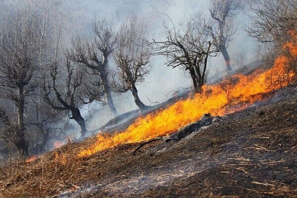 مهار آتش‌سوزی های جنگلی در غرب و جنوب غرب کشور - خبرگزاری خبر نو | اخبار ایران و جهان