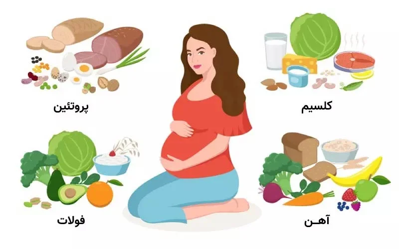 تغذیه تغذیه در ماه هفتم بارداری برای وزن گیری جنین