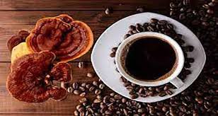 گانودرما | قهوه انواع قهوه گانودرما و خواص آن
