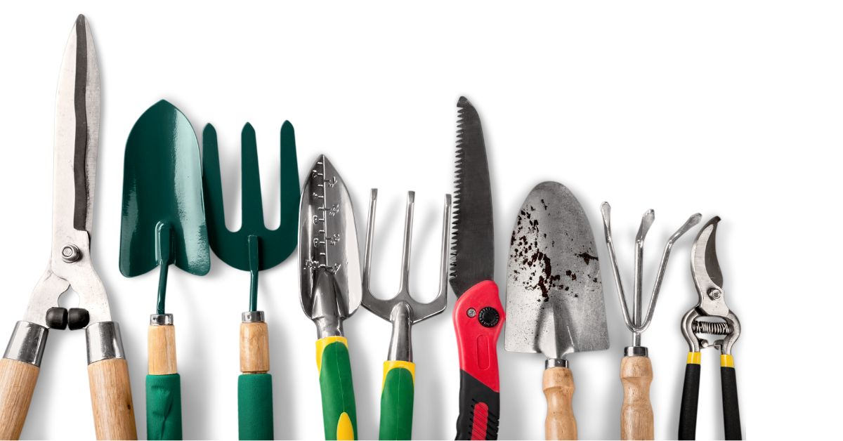 Gardening tools: Which tools are for garden care?3