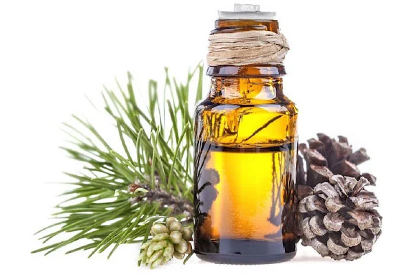 پوست روغن کاج صنعتی چیست؟ کاربردها، مشخصات و روش نگهداری