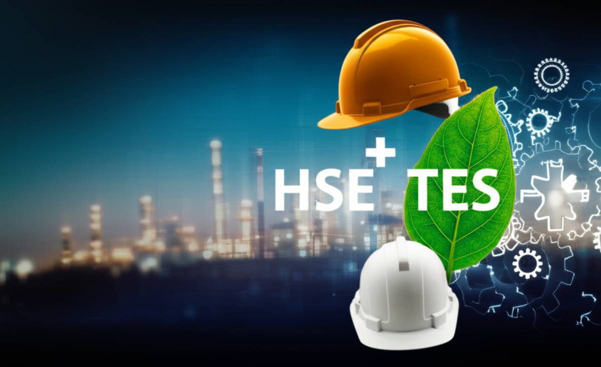 خلاصه کتاب HSE-MS | هر آنچه باید بدانید