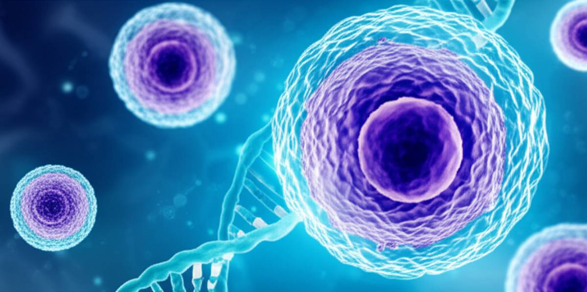 قرص بست فولات کواترفولیک | ویژگی ها، مزایا و نحوه مصرف