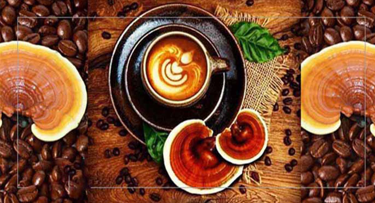 استرس | گانودرما طریقه مصرف قهوه فوری موکا دکتر بیز برای لاغری